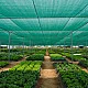 Premium 70% Shade Cloth – 170GSM, 3.66M x 50M