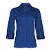 Women's Teflon Executive 3/4 Sleeve Shirt Bs07q