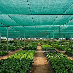 Premium 70% Shade Cloth – 170GSM, 3.66M x 50M Premium 70% Shade Cloth – 170GSM, 3.66M x 50M