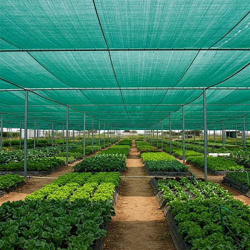 Premium 70% Shade Cloth – 170GSM, 3.66M x 50M Premium 70% Shade Cloth – 170GSM, 3.66M x 50M