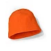 Polar Beanie