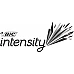 BIC Intensity Metal Pro Permanent Marker - Black